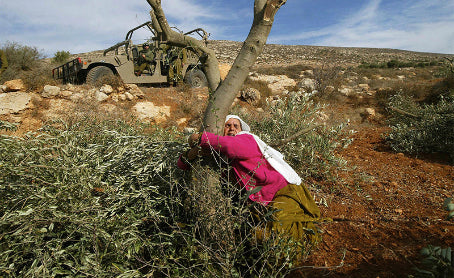 Women of Palestine: Architects of Society, Builders of Hope