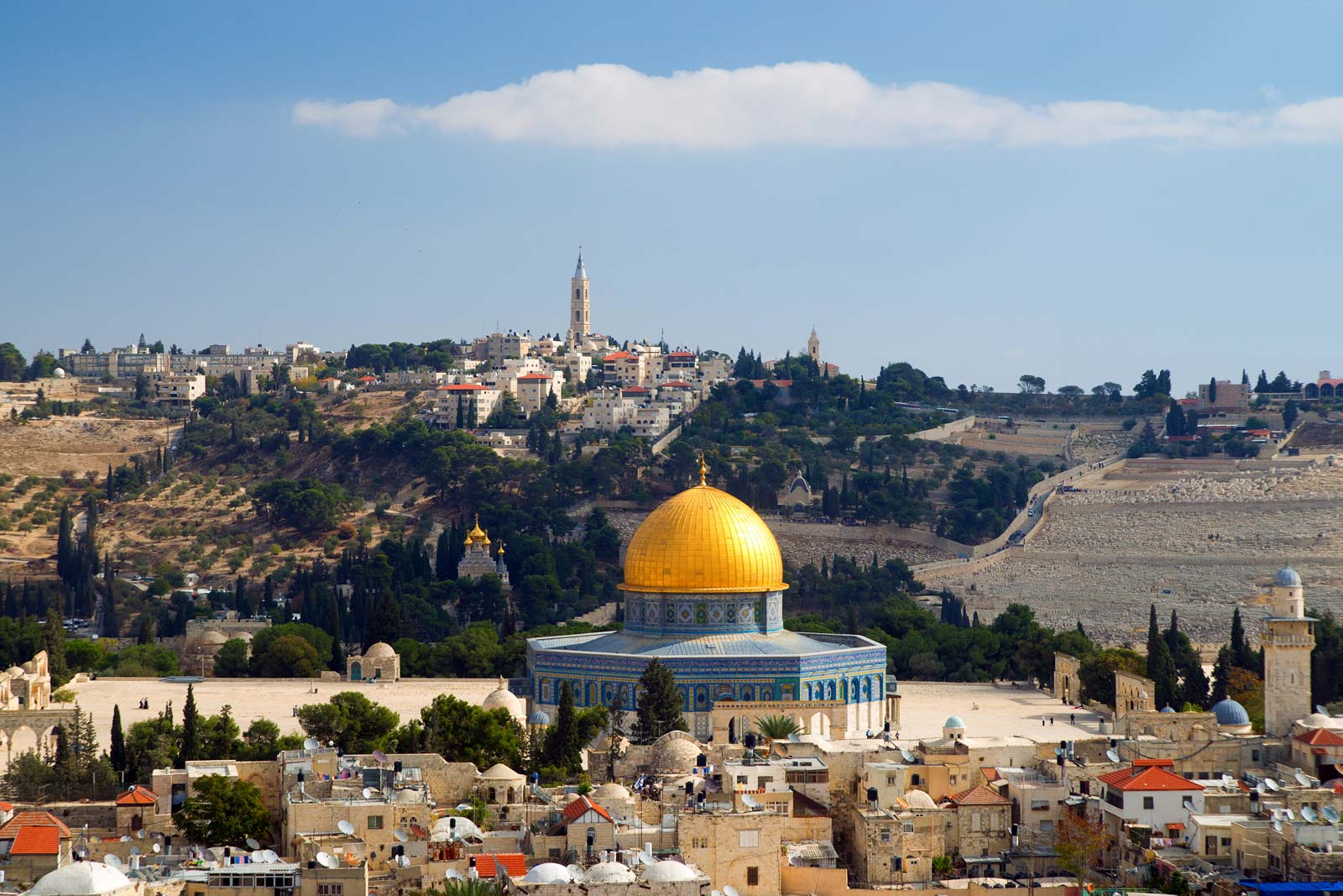 77 Years of Nakba: We Were Never Meant to Survive — But We