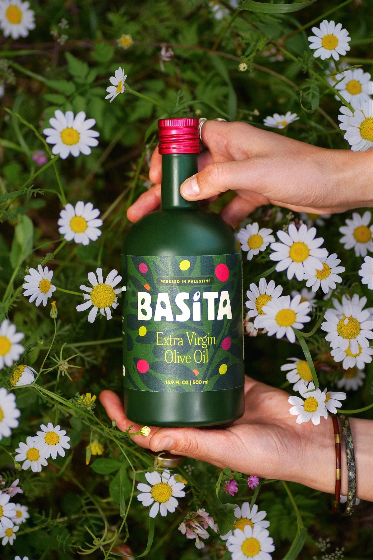 Basita Extra Virgin Olive Oil – Palestinian, 500 ml